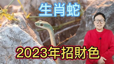 蛇的幸運顏色|2024屬蛇幸運色：黃色、藍色 掌握好時機才能發揮能量